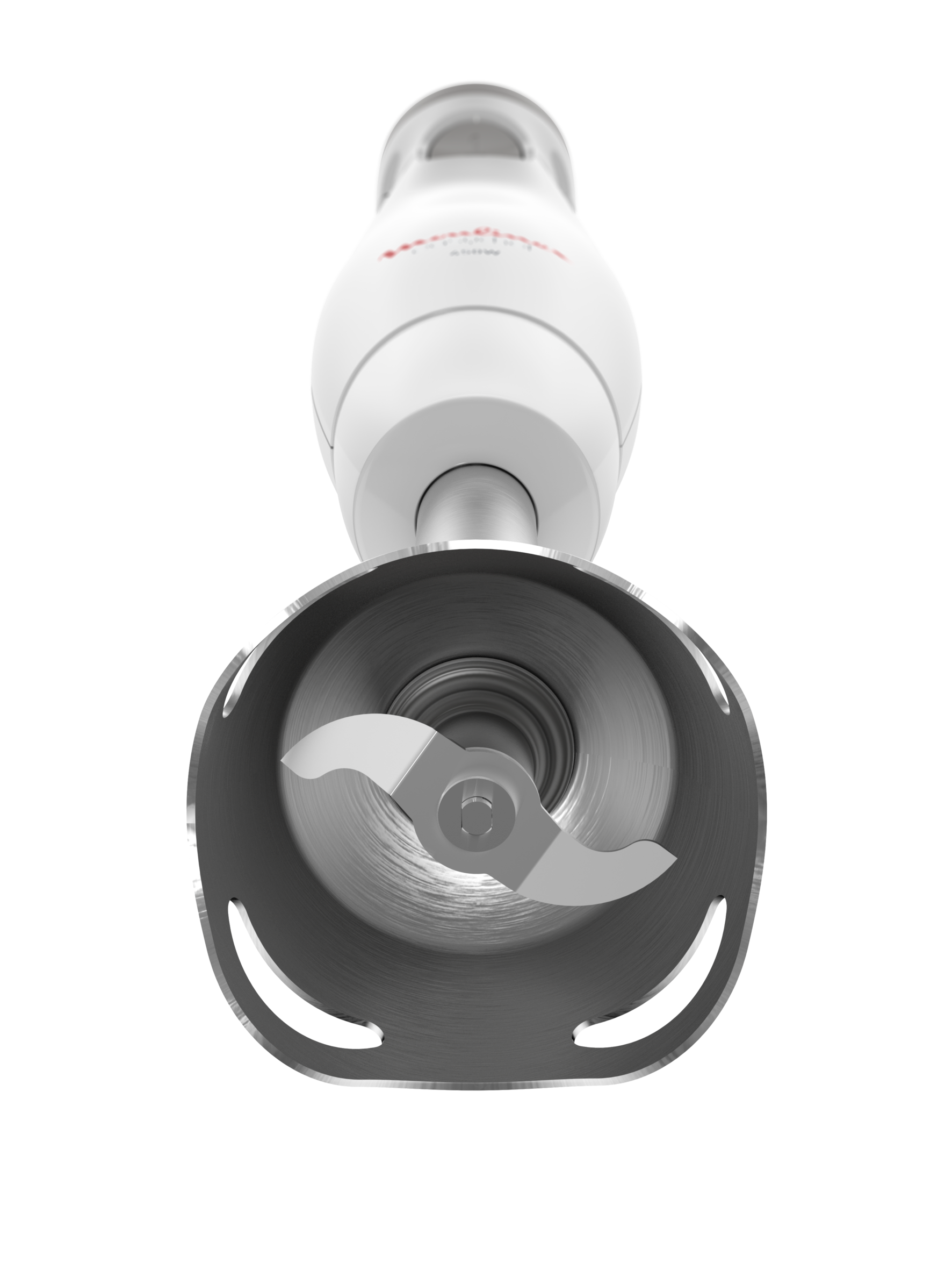 Mixer ad immersione Easychef 2 in 1