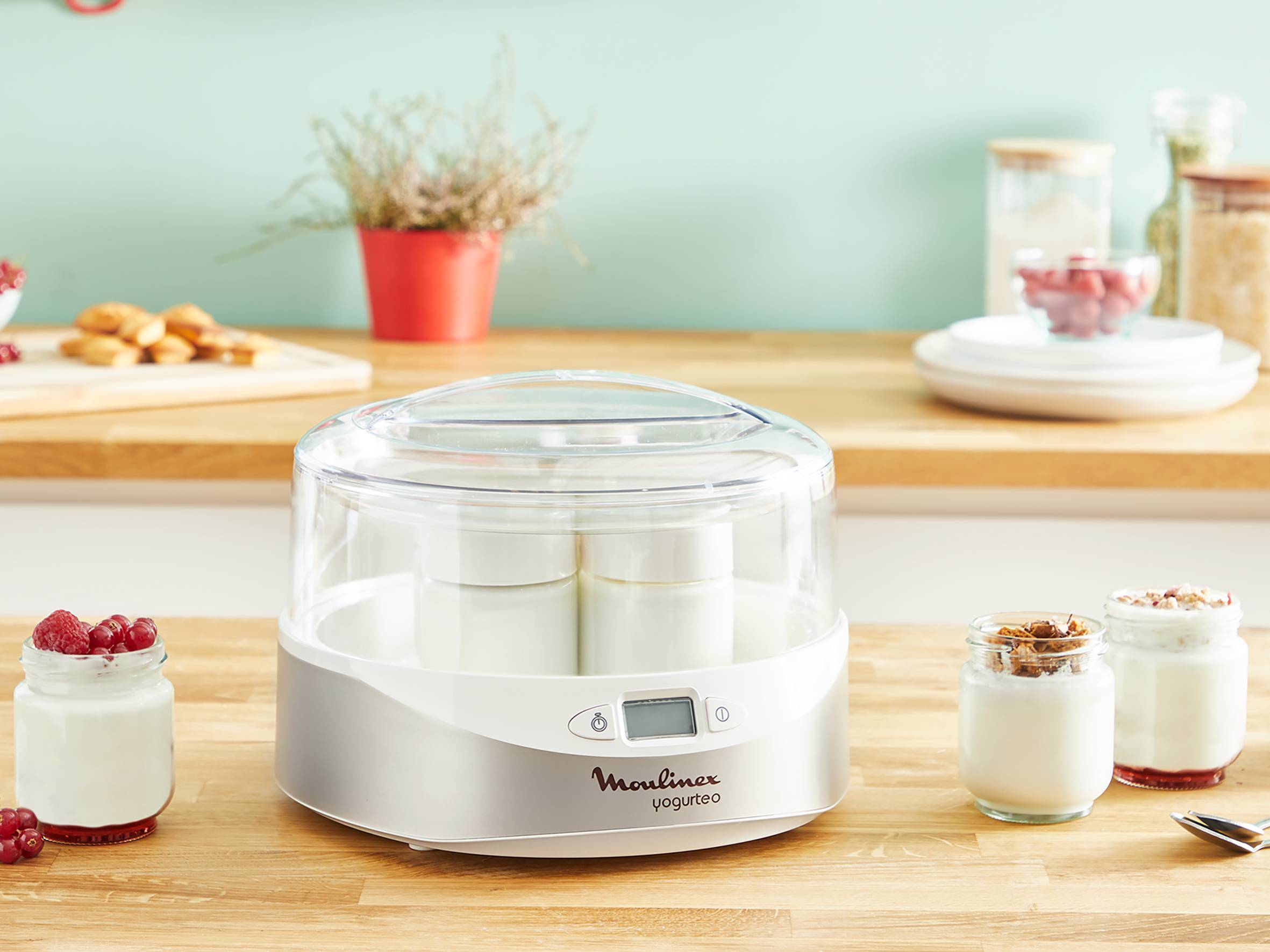 Yogurtiera Professionale 1,4L Con 8 Vasetti – Acciaio Inox, Timer E Controllo PTC