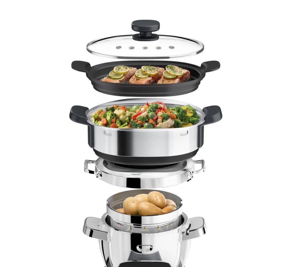 Stiratore a vapore companion XF394BF0
