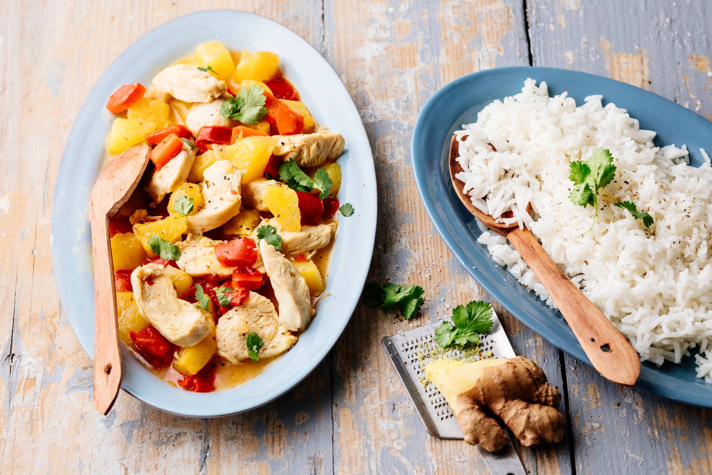 Robot da cucina multifunzione Companion