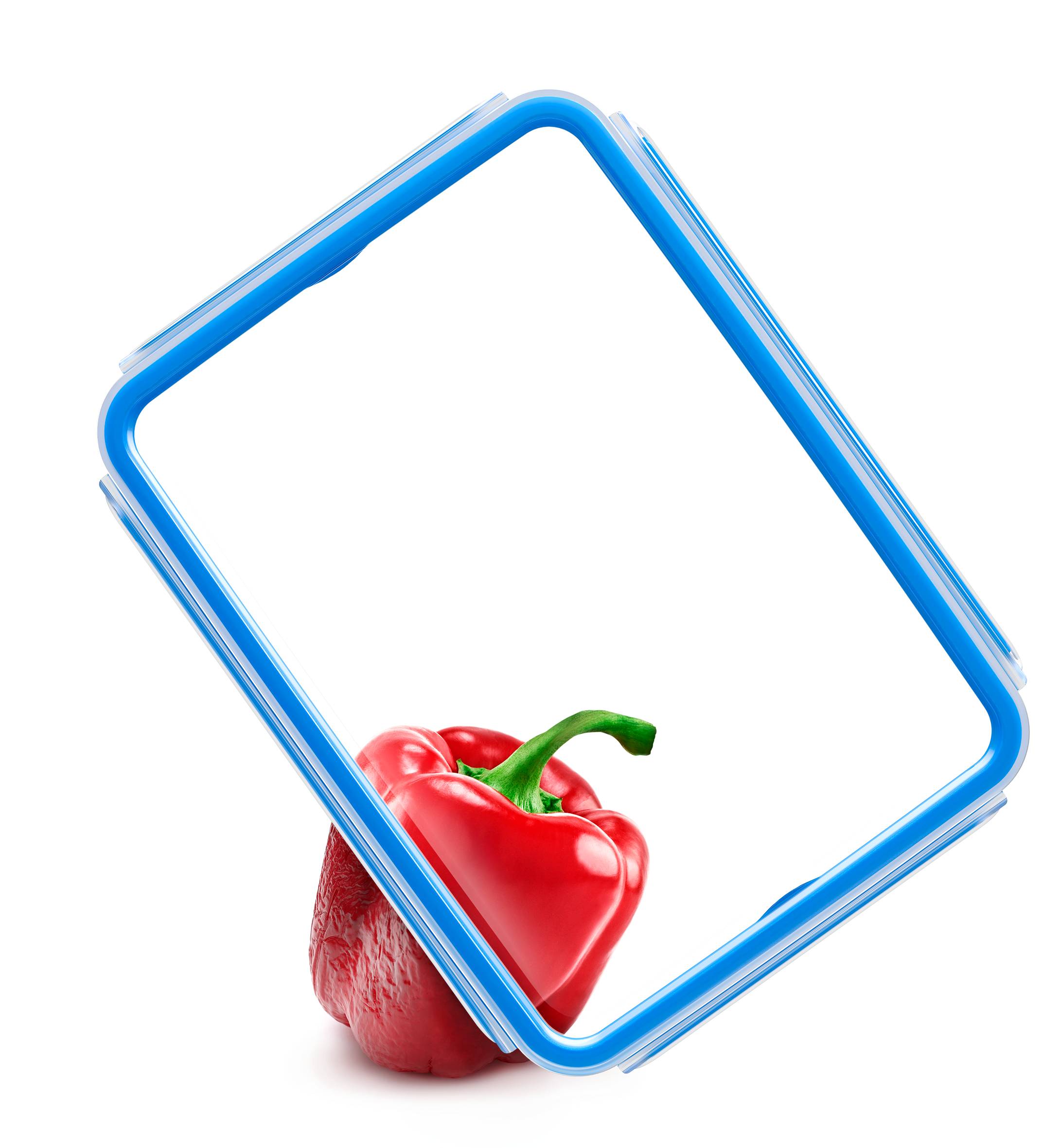 Set 5 Contenitori per Alimenti Masterseal Fresh 0,15L / 0,25L / 0,55L / 1L / 1,3L