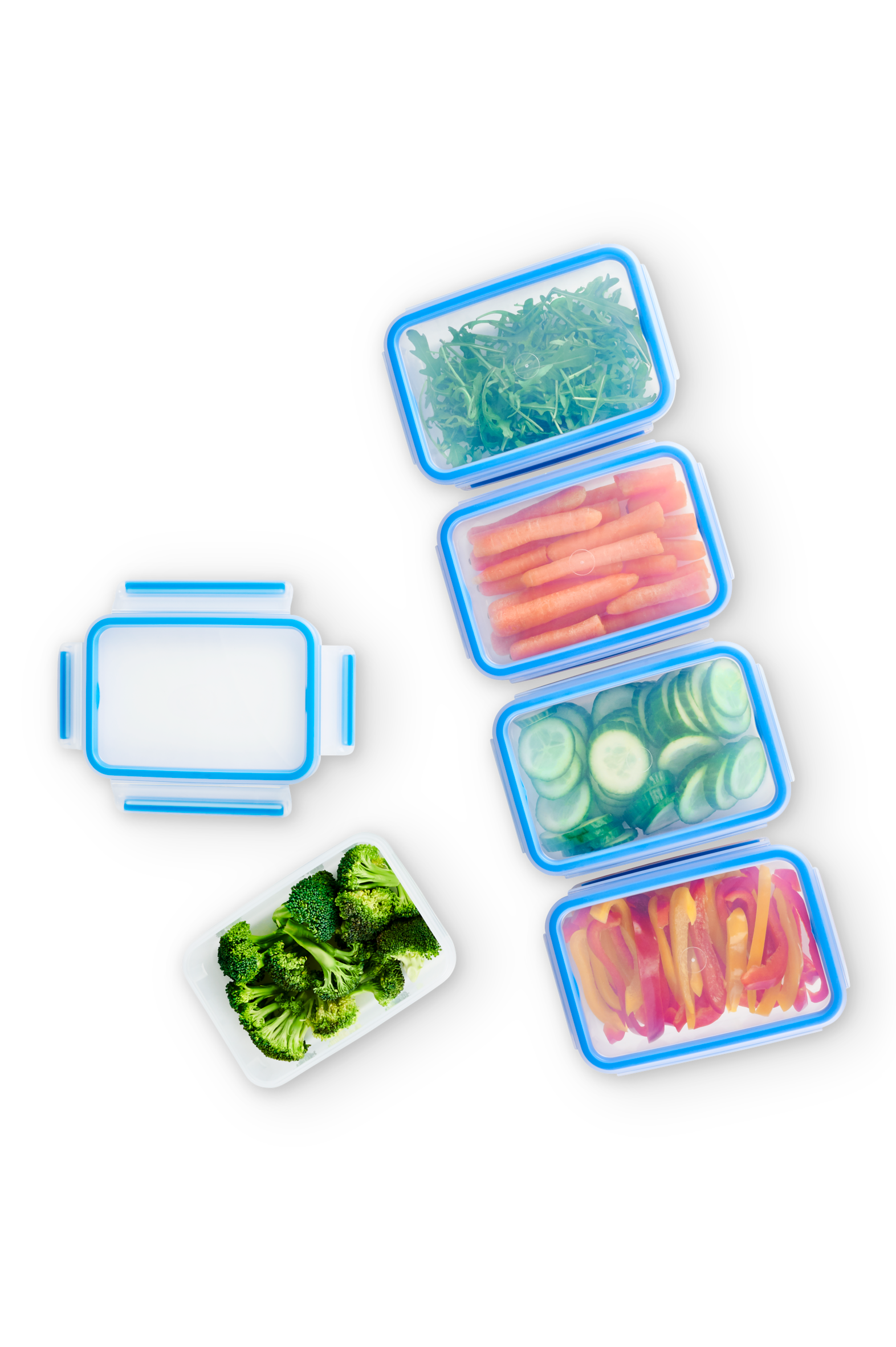 Set 5 Contenitori per Alimenti Masterseal Fresh 0,8L