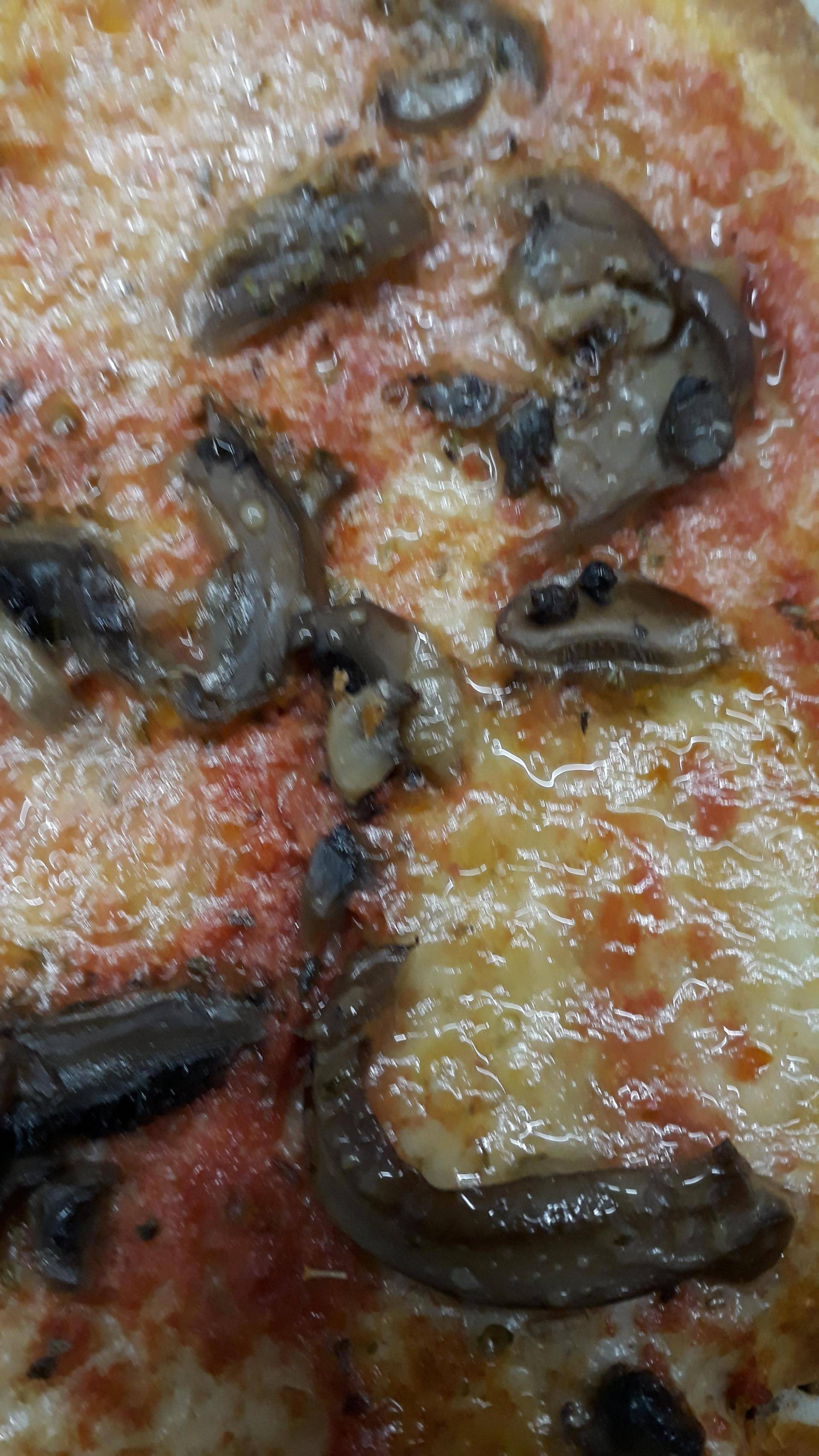 Pizza al taglio - Ricette Companion Connect XL | Moulinex