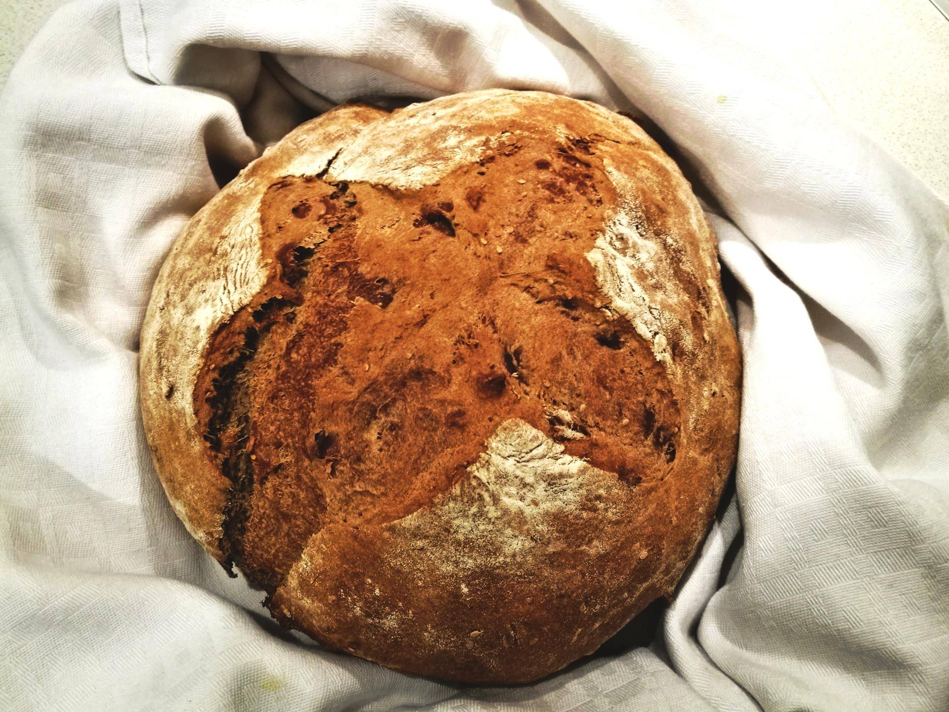 Pane nero a lunga maturazione - Ricette Companion Connect | Moulinex