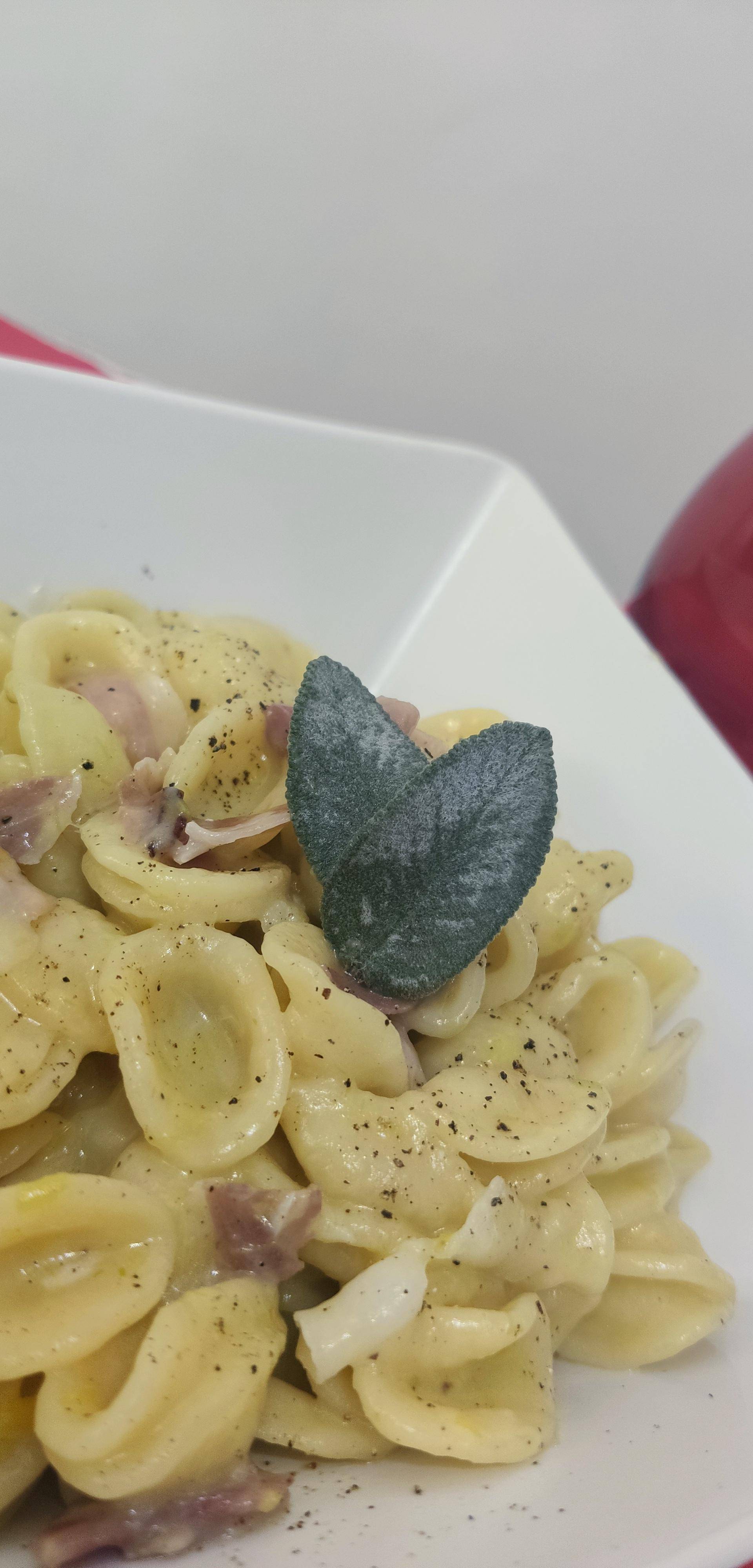 Orecchiette cotte in crema di porri e speck - Ricette Companion Connect | Moulinex