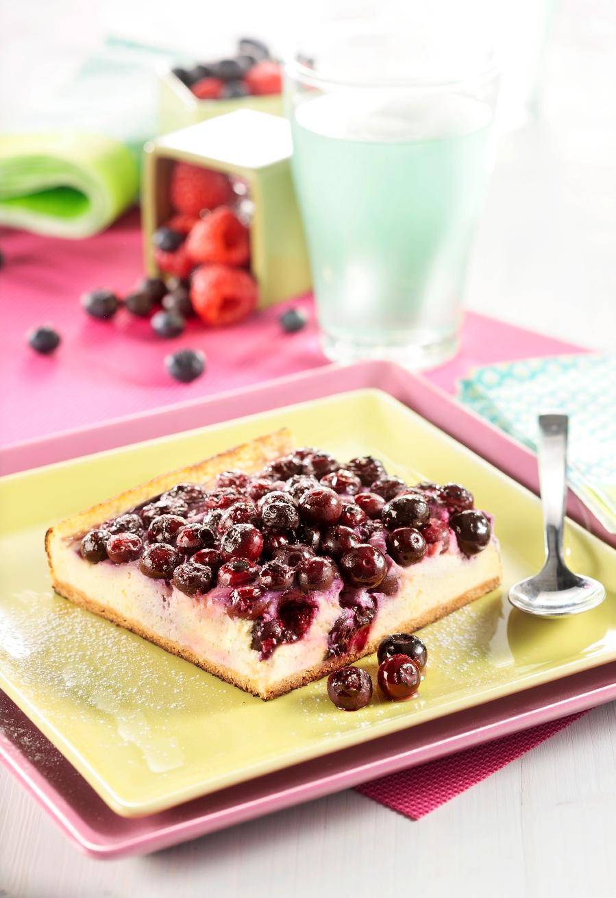 Cheesecake ai mirtilli - Ricette OptiGrill + | Moulinex