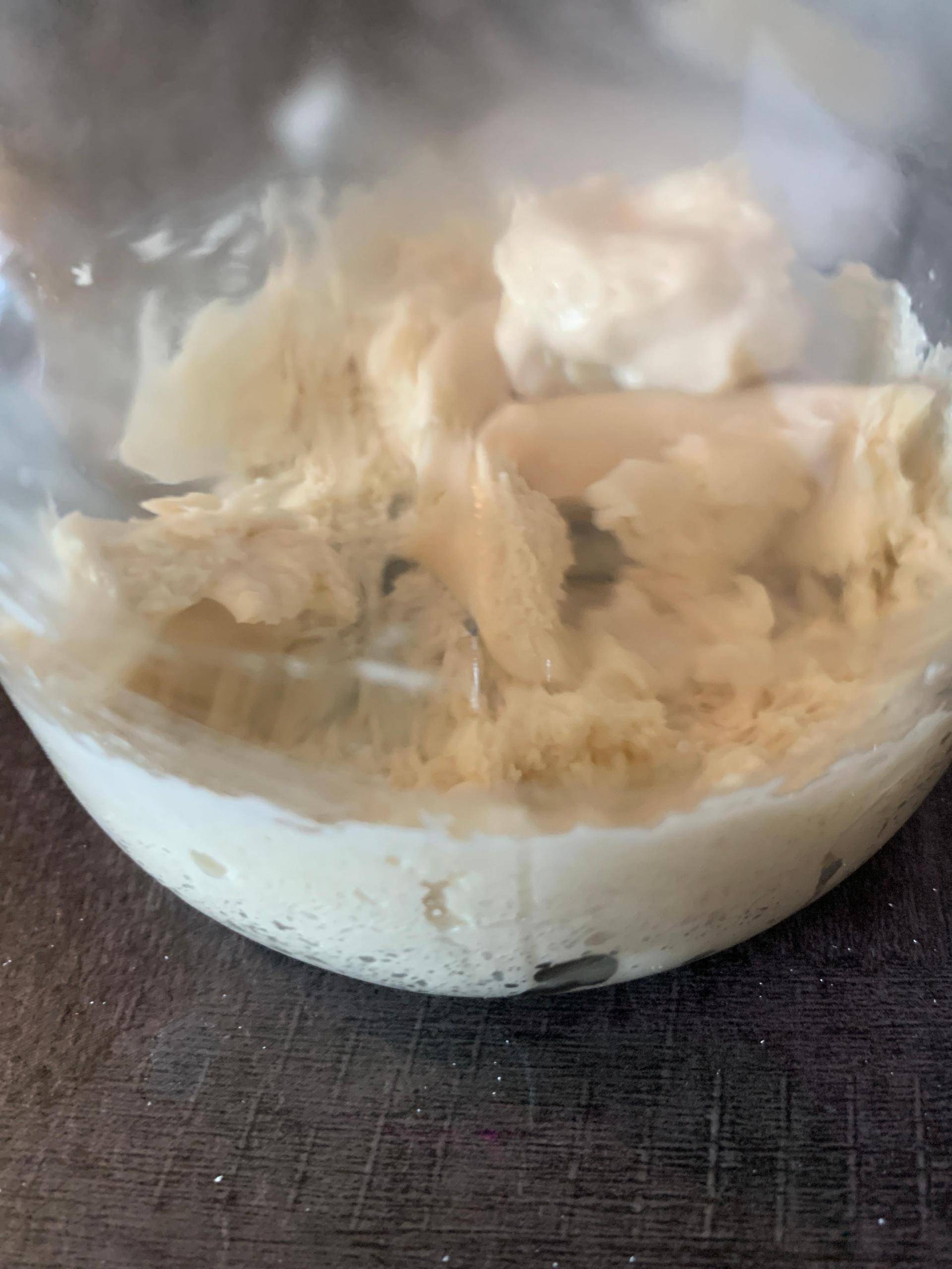 Rinfresco Lievito Madre - Ricette Companion Connect | Moulinex