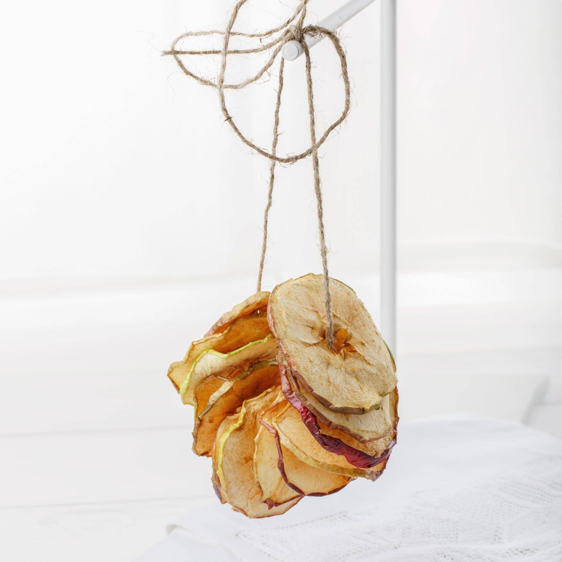 Mele essiccate - Ricette Multifunction Airfryer Oven Digital | Moulinex