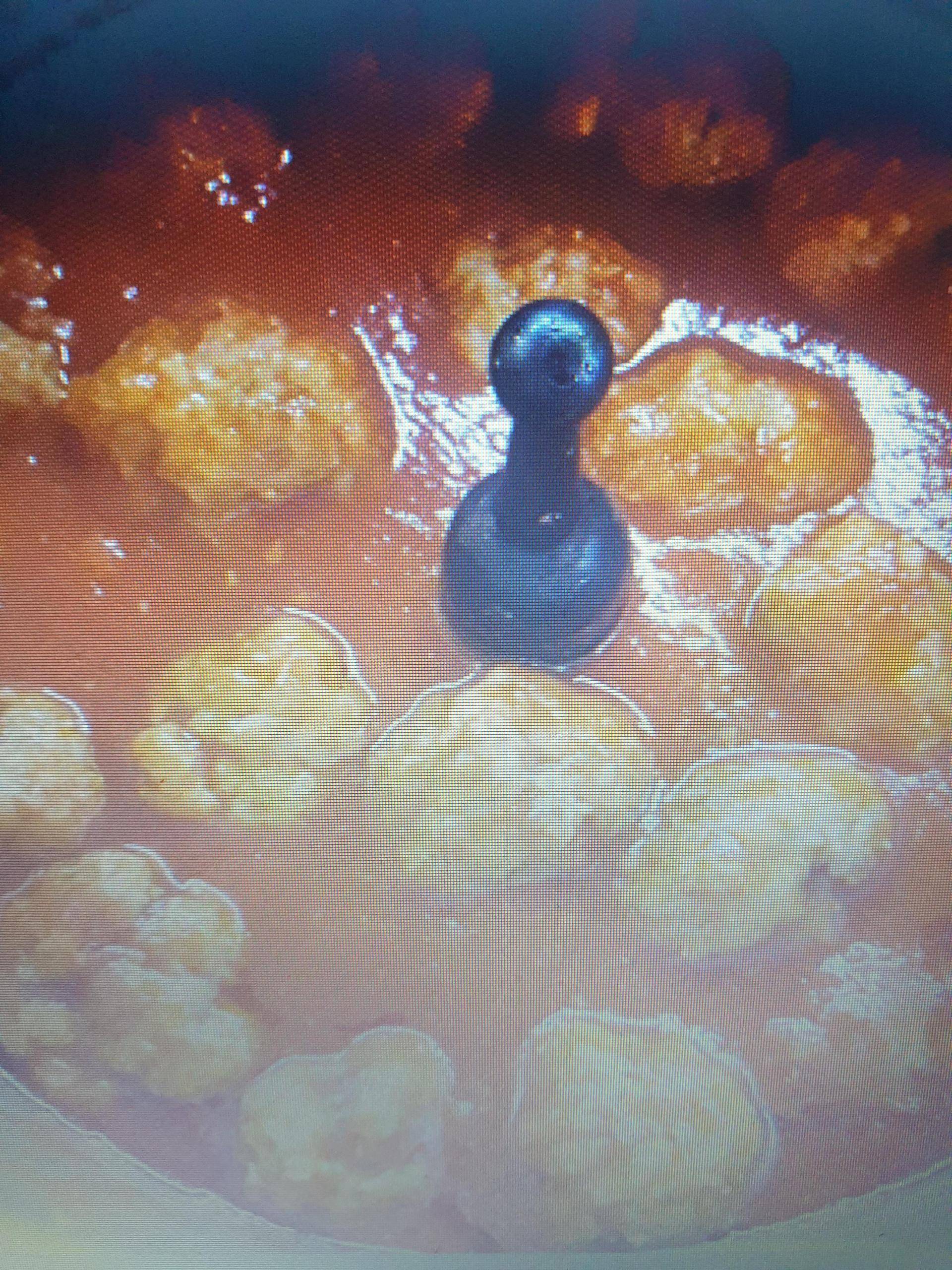 Polpette al sugo - Ricette Companion XL | Moulinex
