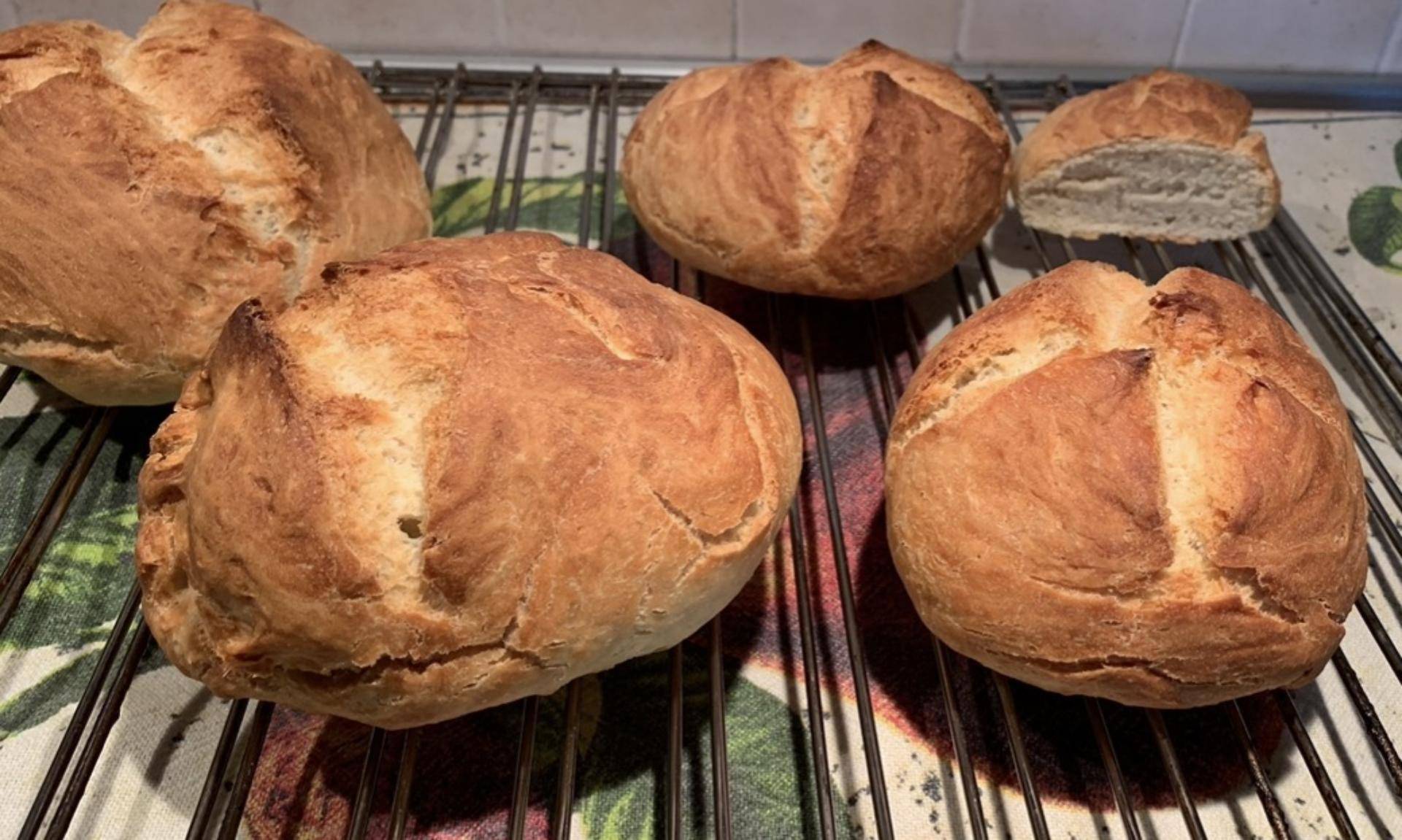 Pane semplice - Ricette Companion | Moulinex