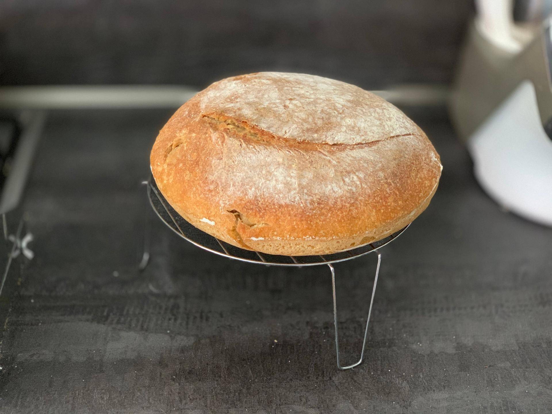 Pane con lievito madre - Ricette Companion Connect | Moulinex
