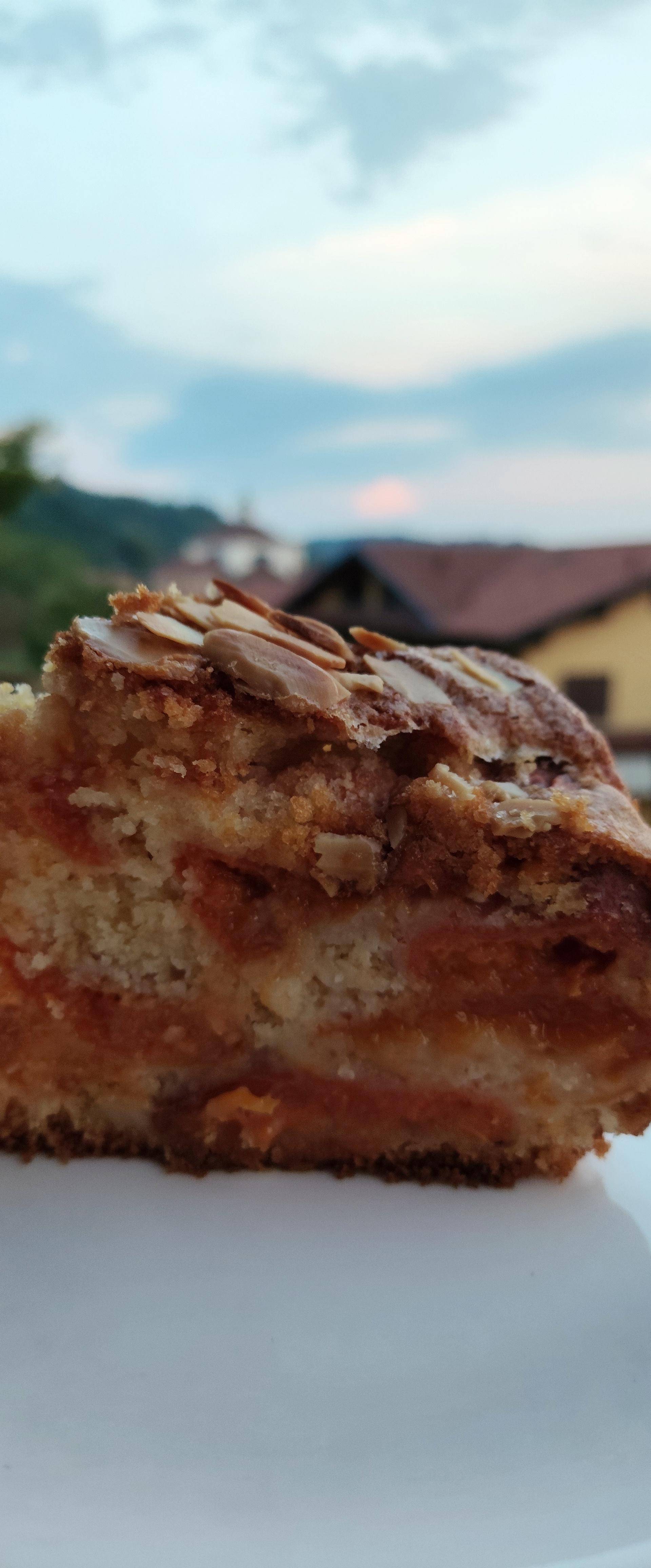 Torta morbidissima alle albicocche - Ricette Companion Connect XL | Moulinex