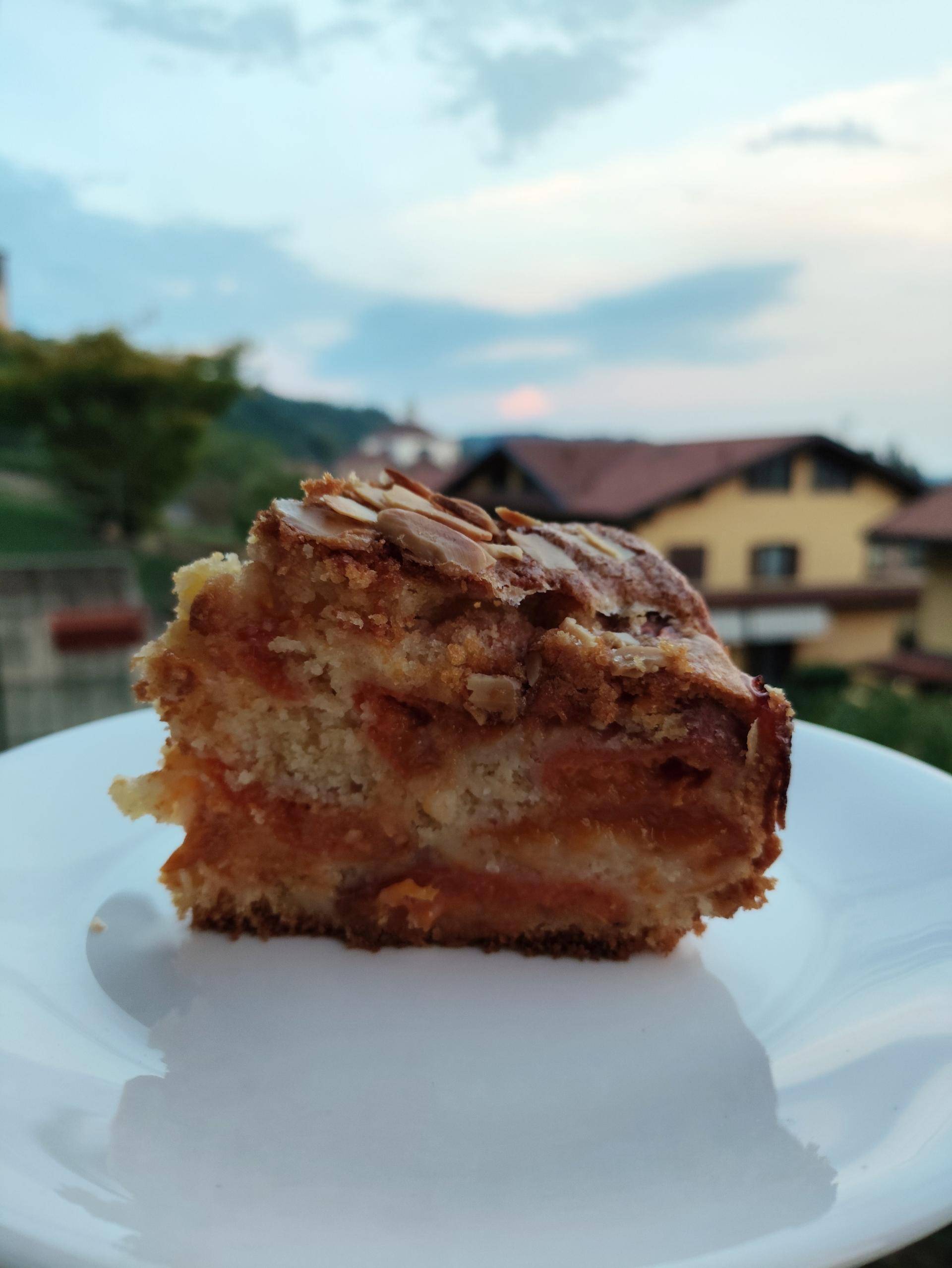 Torta morbidissima alle albicocche - Ricette Companion Connect XL | Moulinex