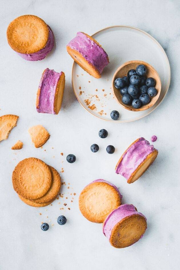 Biscotto gelato ai mirtilli - Ricette Perfectmix + | Moulinex