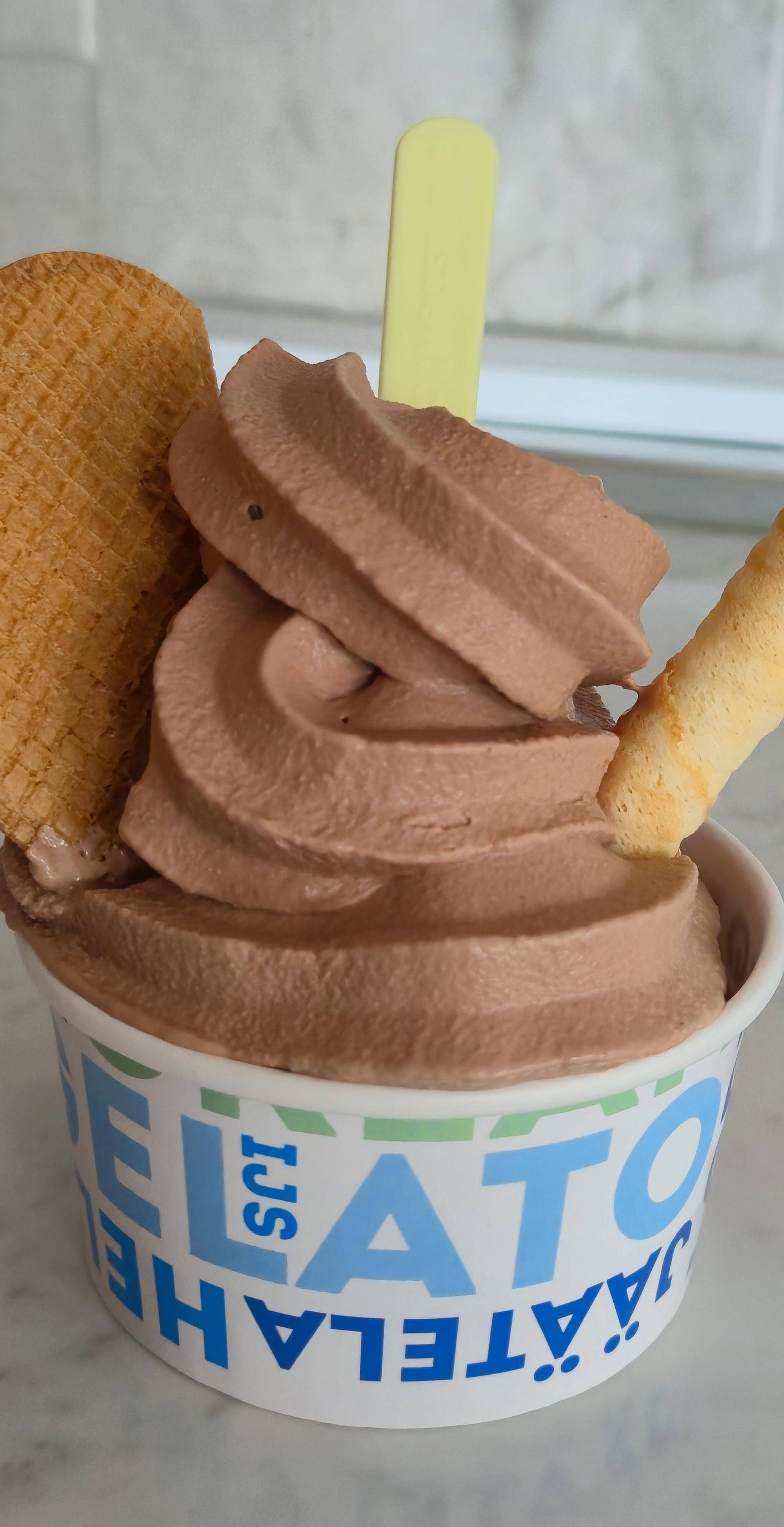 Gelato al cioccolato - Ricette Freezi | Moulinex