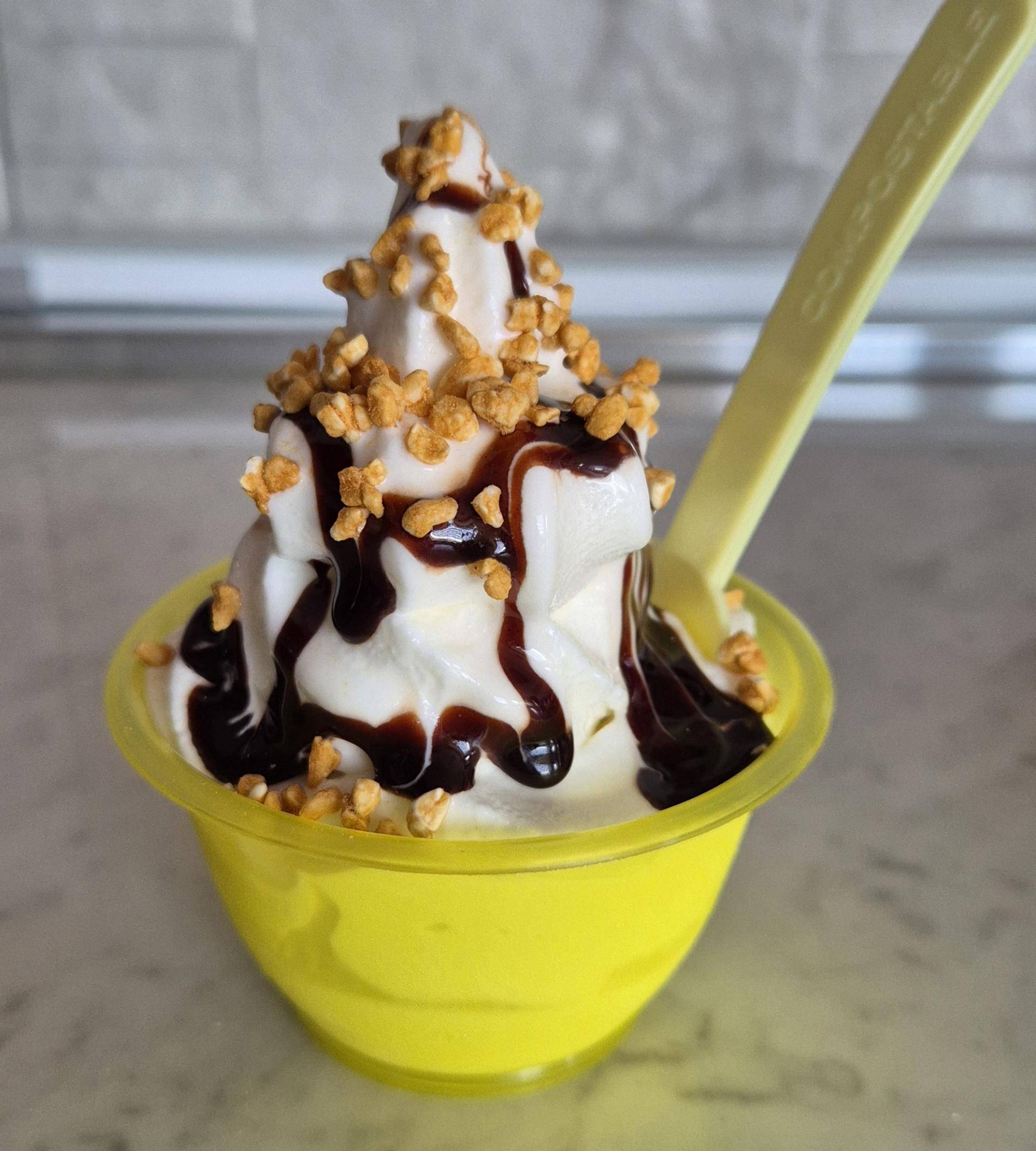 Frozen yogurt - Ricette Freezi | Moulinex
