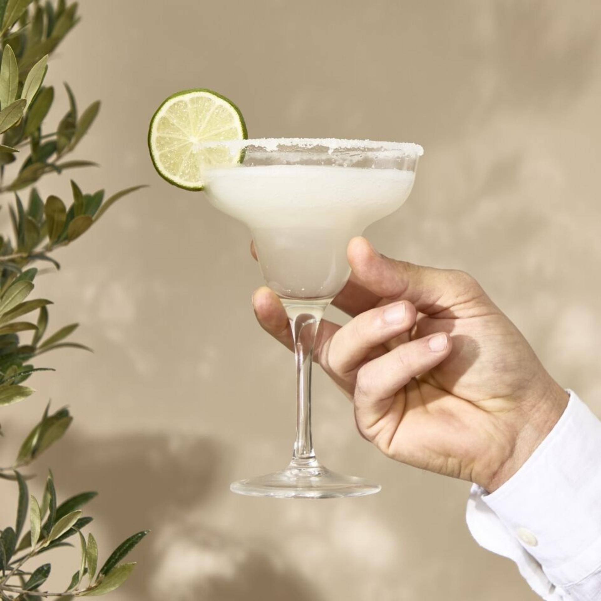 Frozen Margarita - Ricette Freezi | Moulinex