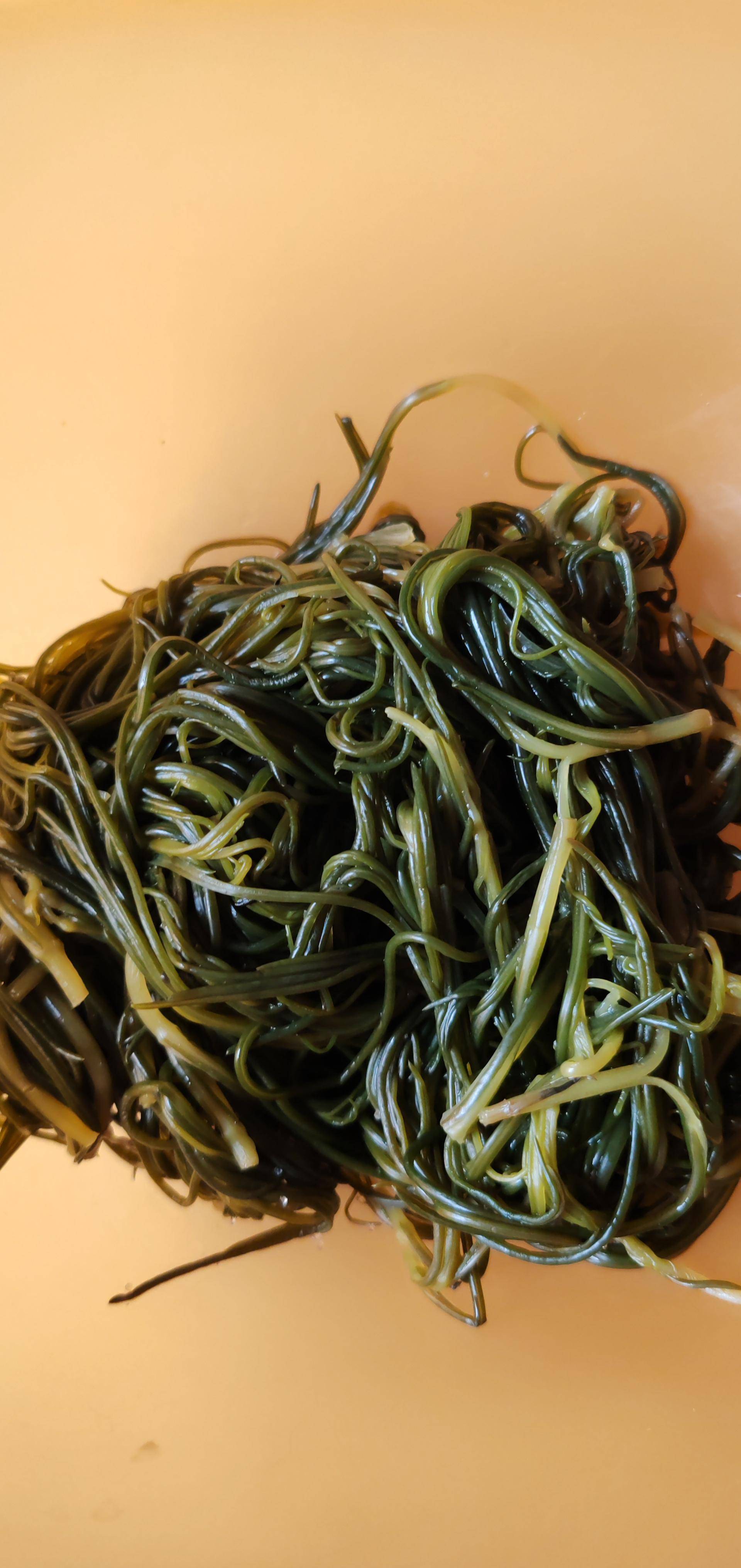 Pesce al vapore alla cantonese - Ricette Cookeo 9in1 | Moulinex