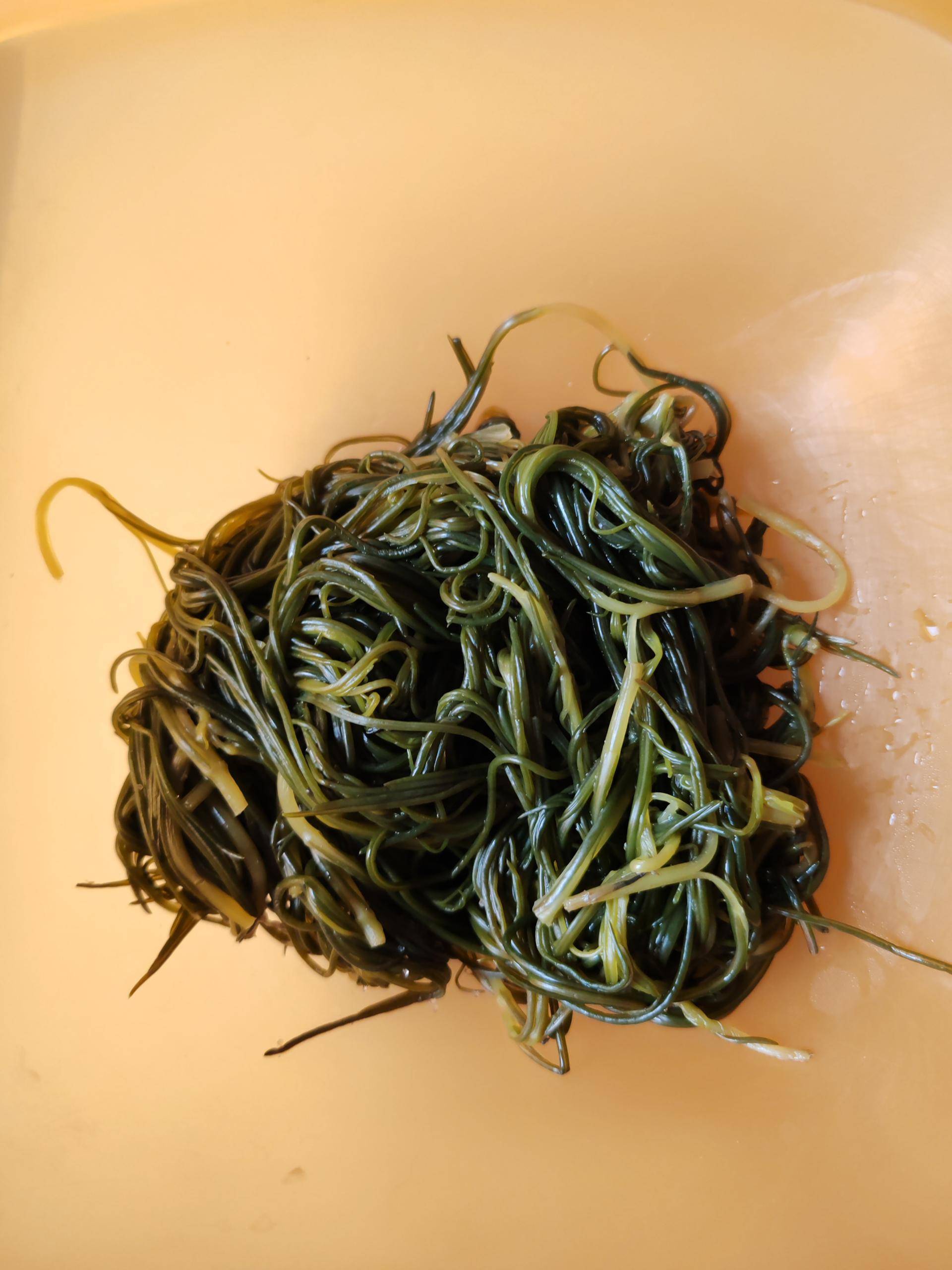 Agretti al vapore - Ricette Cookeo V3 | Moulinex